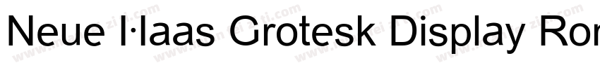 Neue Haas Grotesk Display Roman字体转换